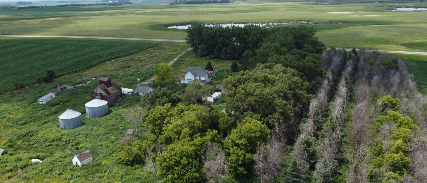 DJI 0292