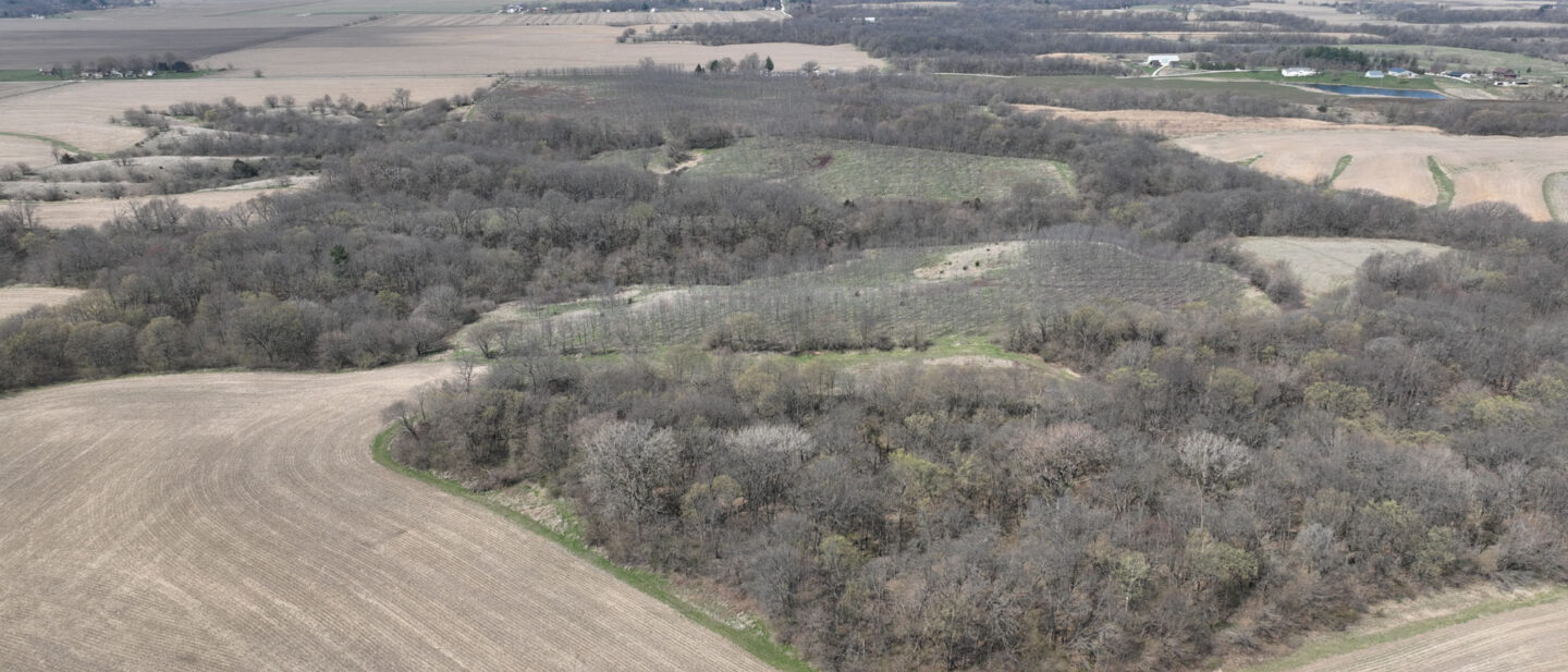 DJI 0500