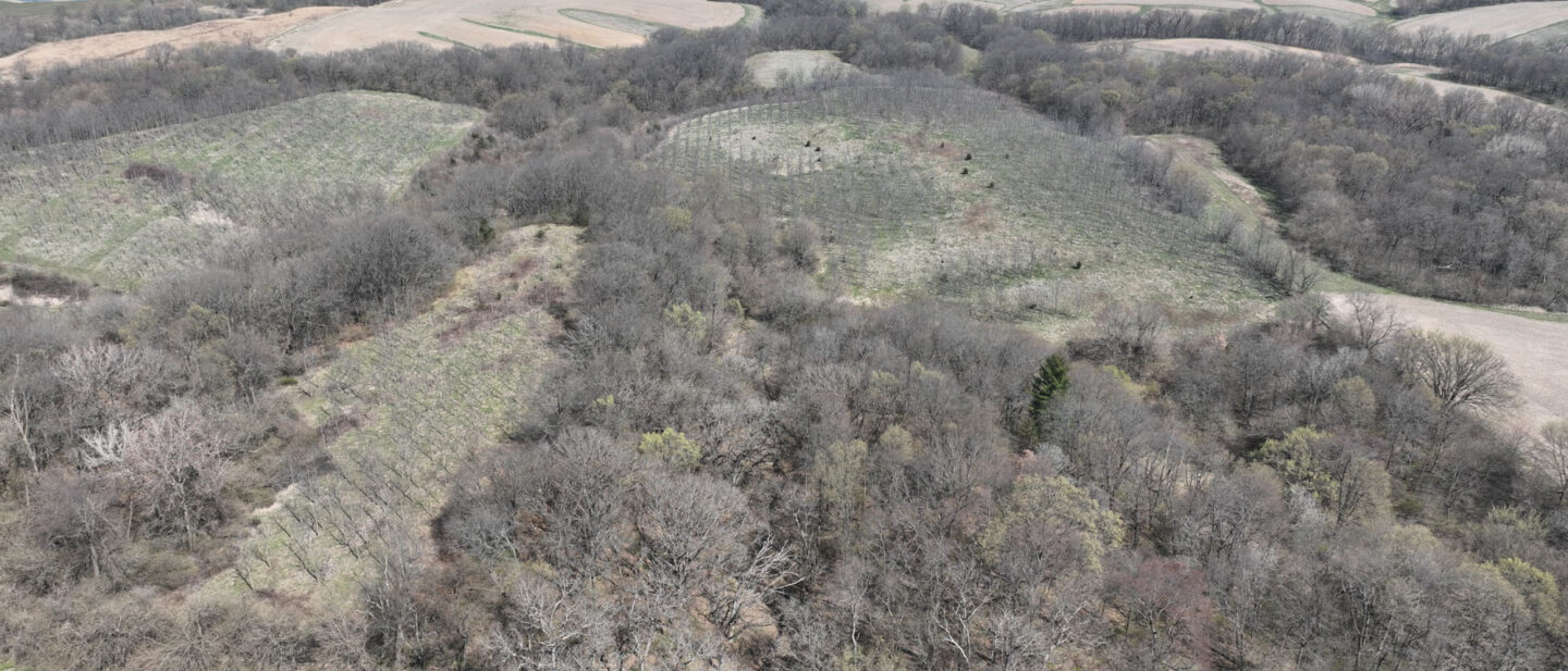 DJI 0503