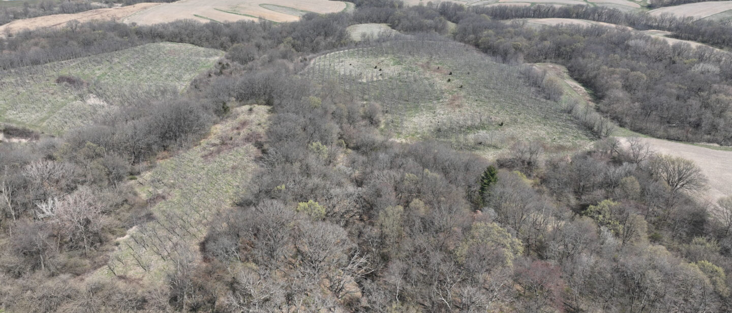DJI 0504