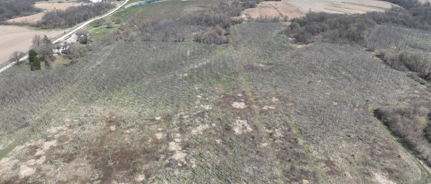 DJI 0506