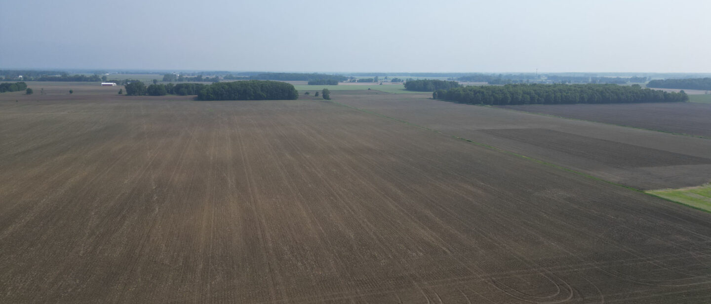 DJI 0575