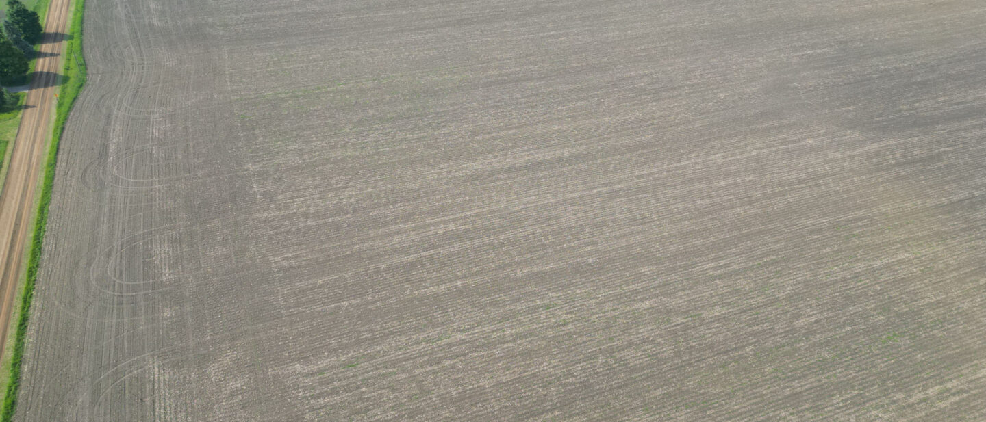 DJI 0597
