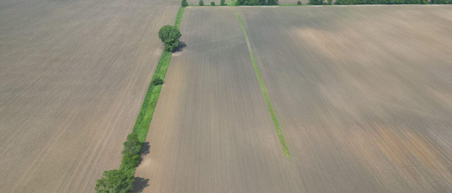 DJI 0600