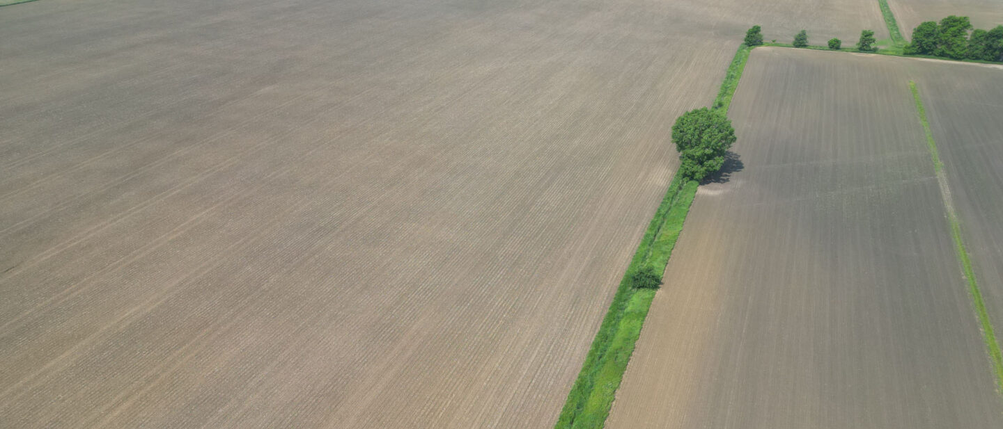 DJI 0601