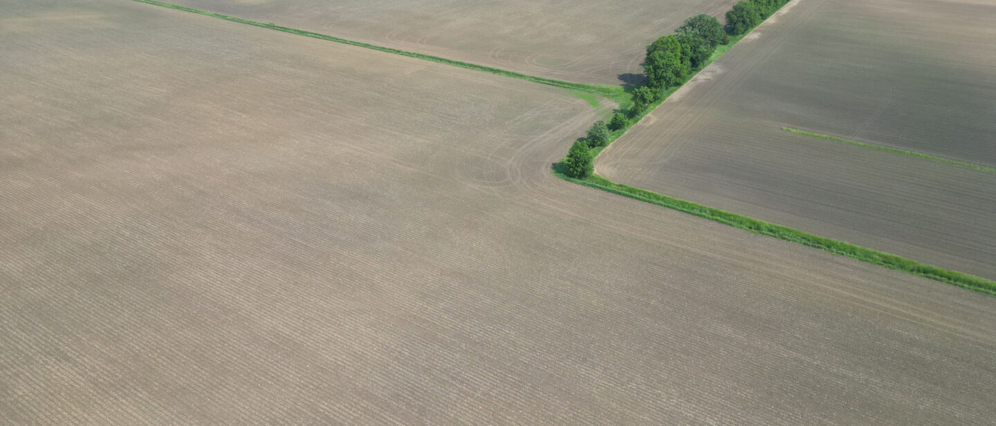 DJI 0602