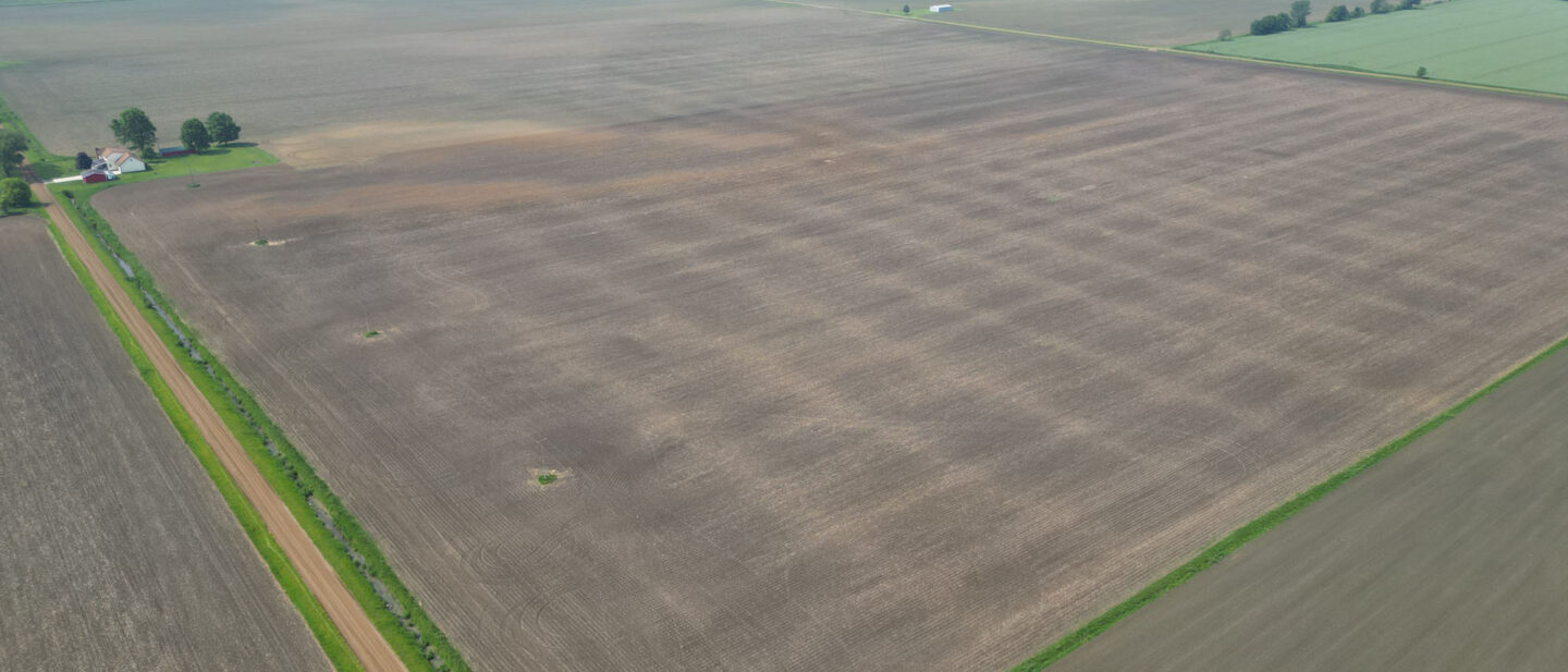 DJI 0616