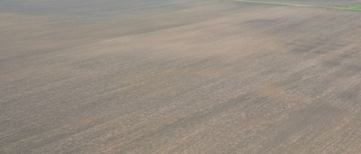 DJI 0623