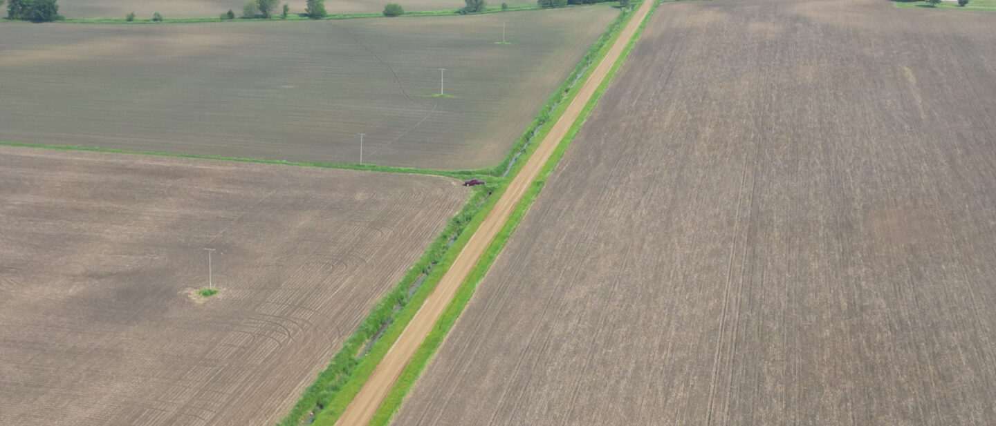 DJI 0628