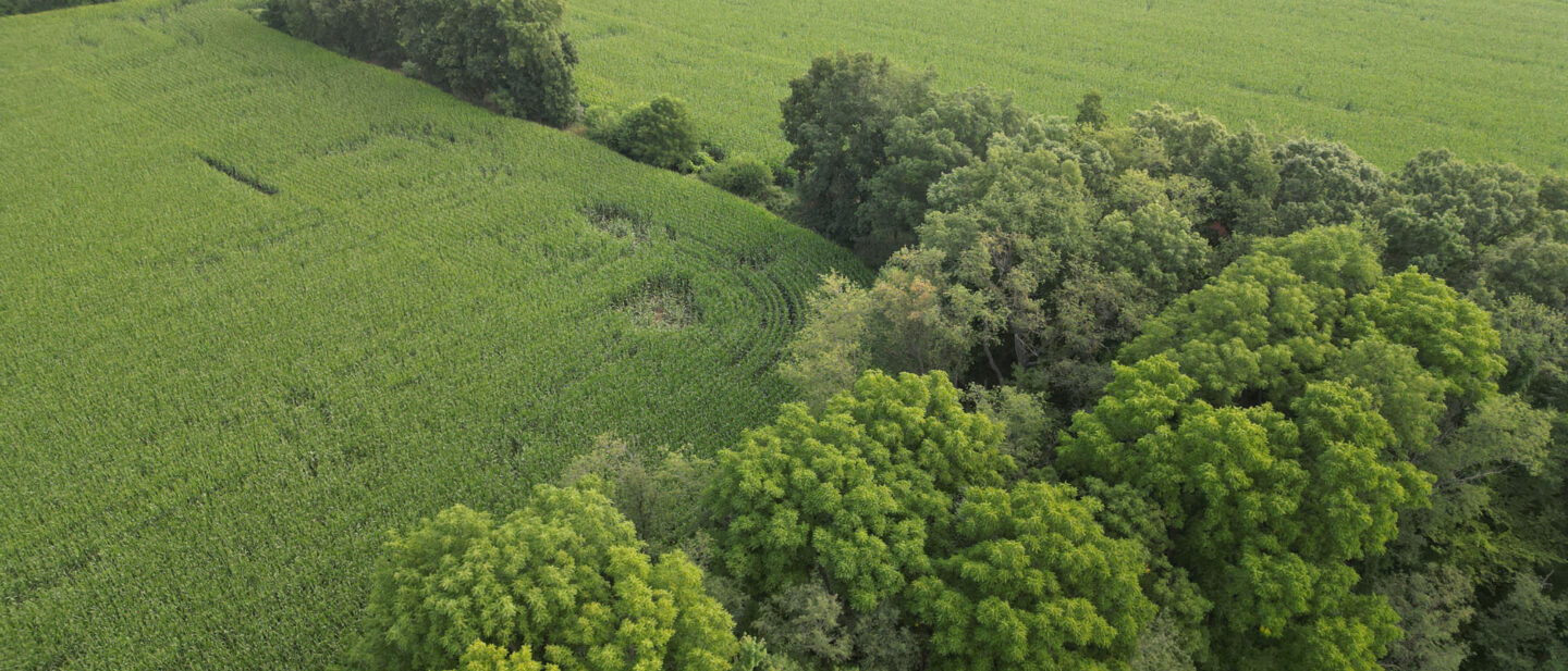 DJI 0856