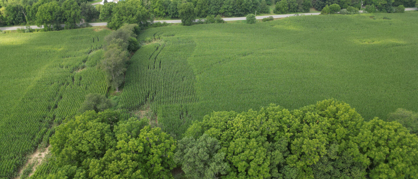 DJI 0872