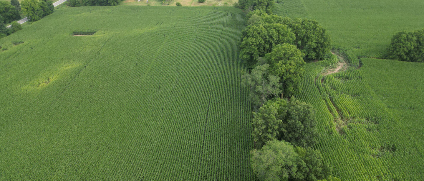 DJI 0873