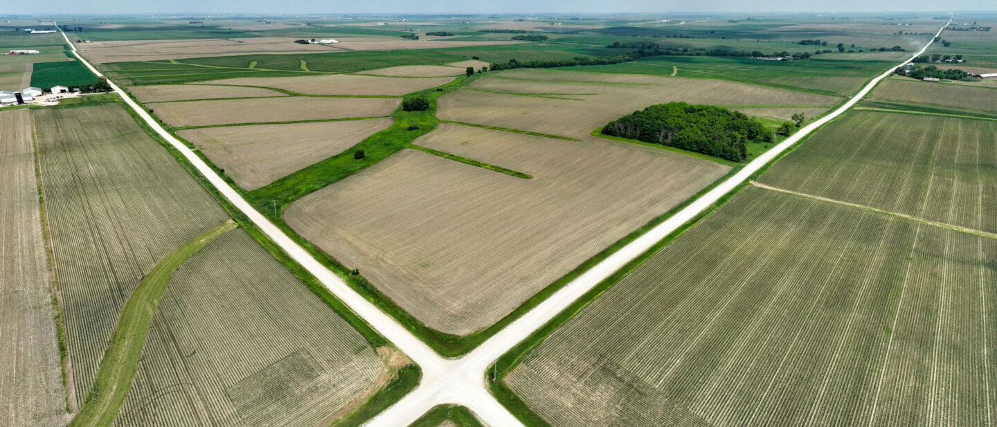 DJI 0961 WEB