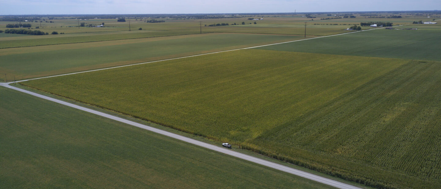 DJI 0968 3