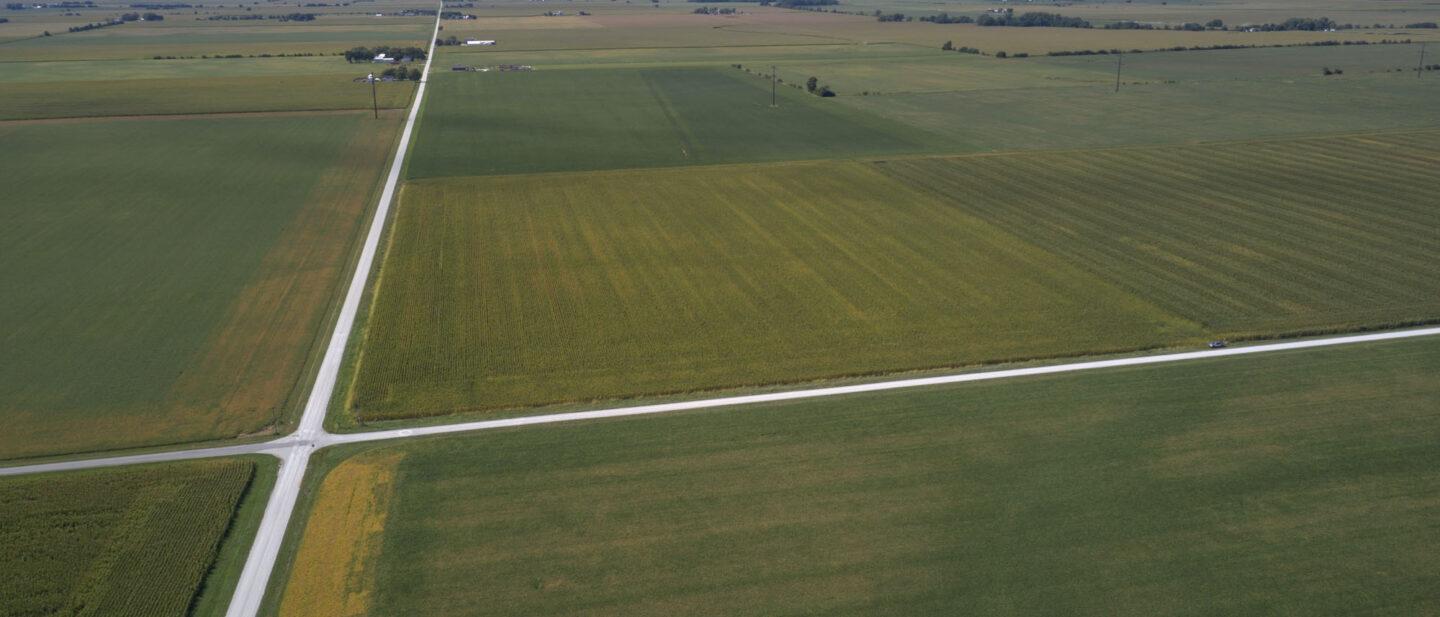 DJI 0973 3