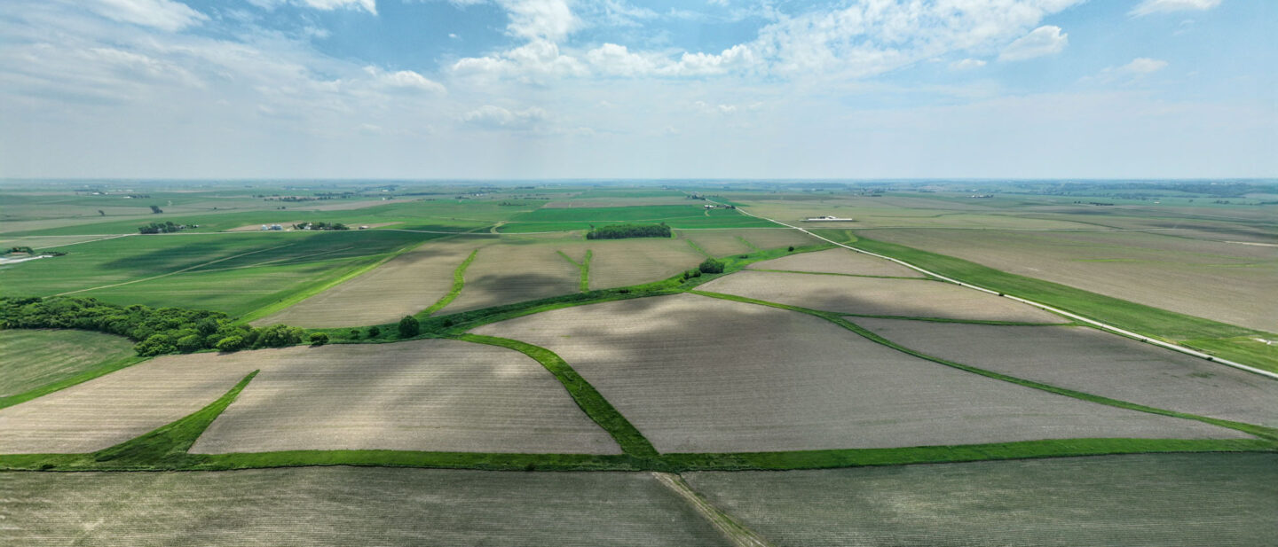 DJI 0974 WEB