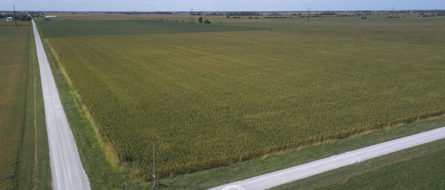 DJI 0976 3