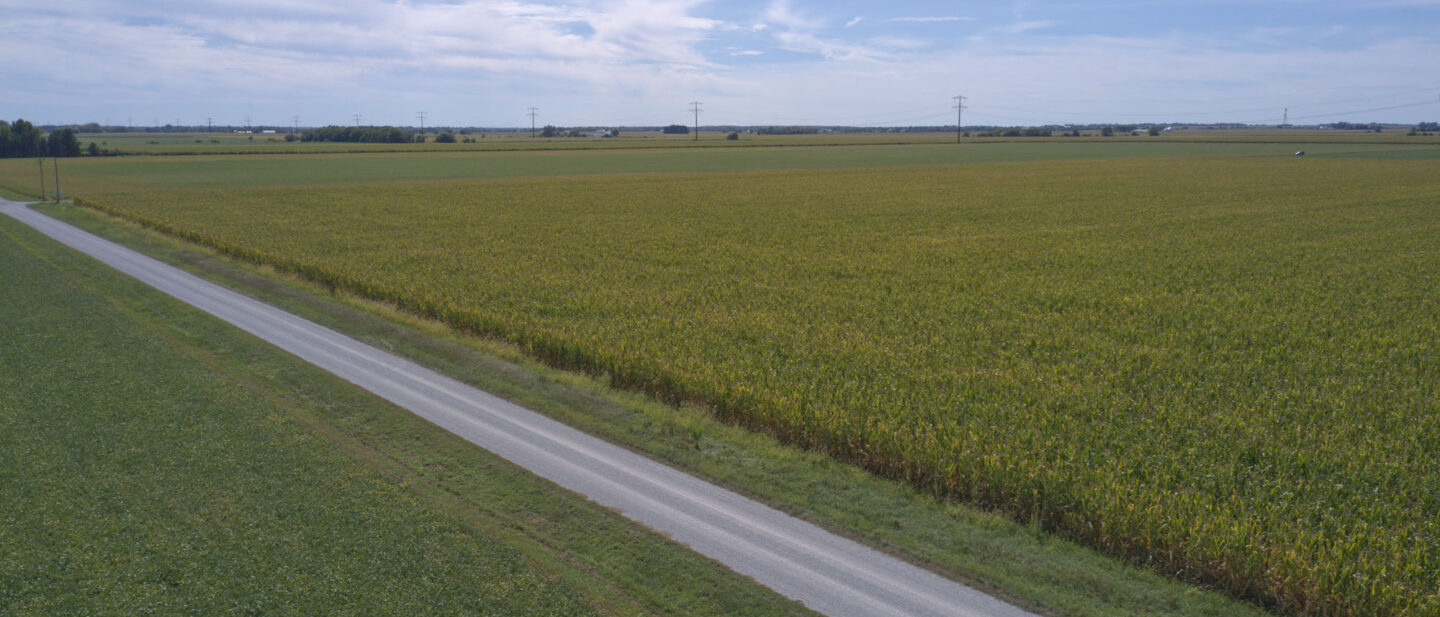 DJI 0978 3