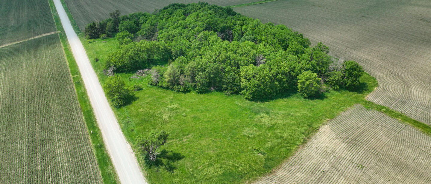 DJI 0981 WEB