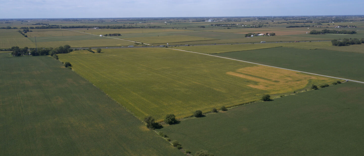 DJI 0982 4