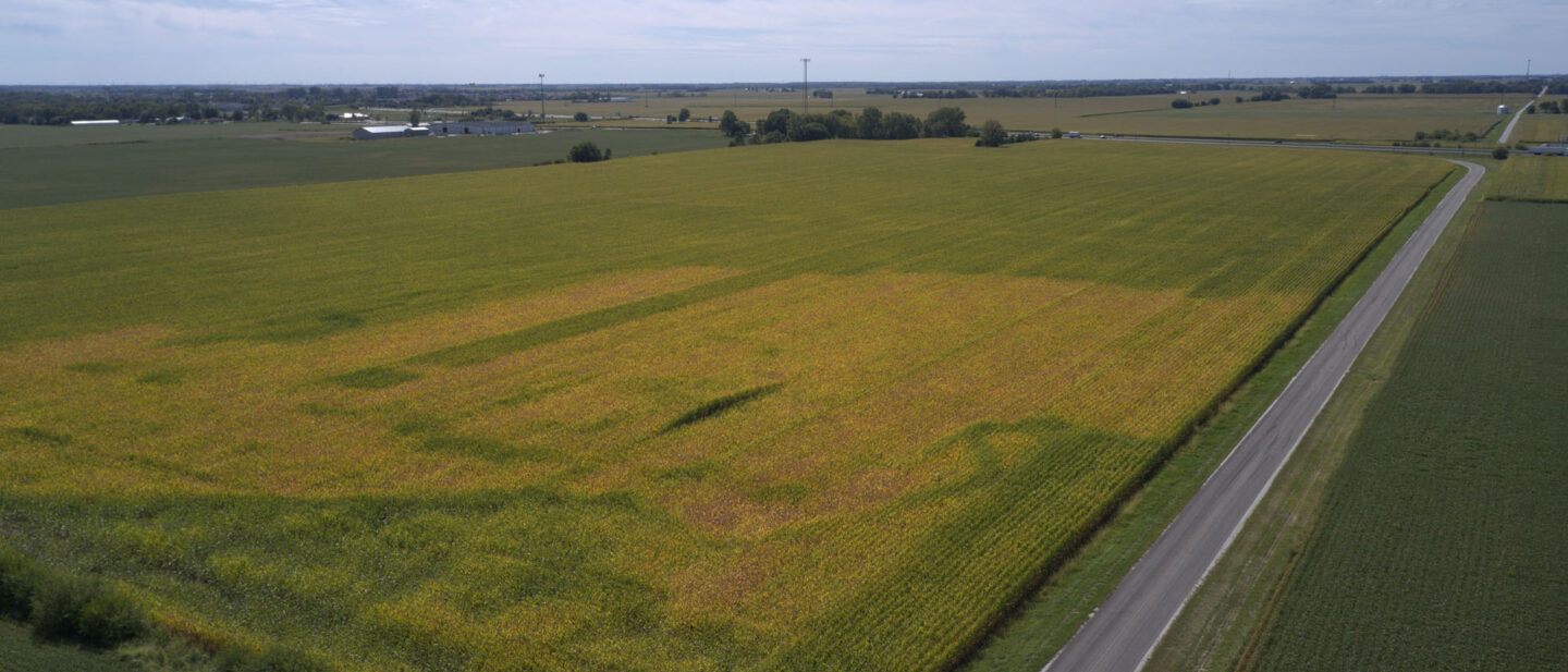 DJI 0990 4