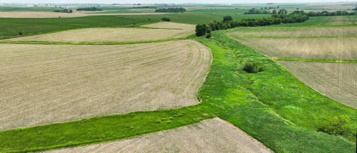DJI 0990 WEB