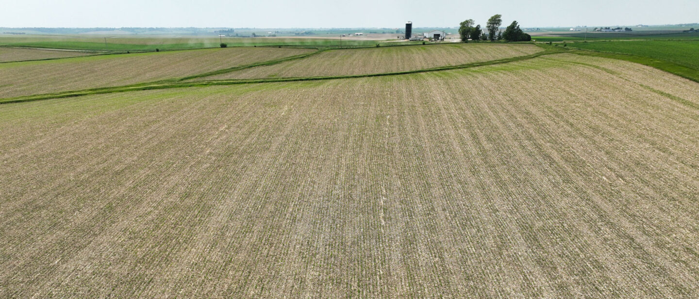 DJI 0994 WEB
