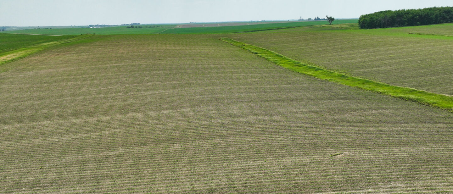 DJI 0998 WEB
