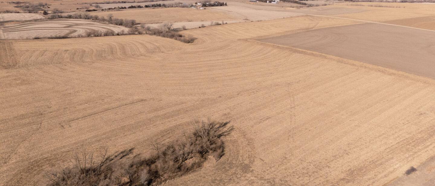 DJI 20250129113347 0019 D