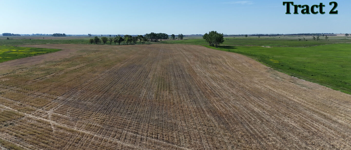 DJI 20250514093851 0425 D
