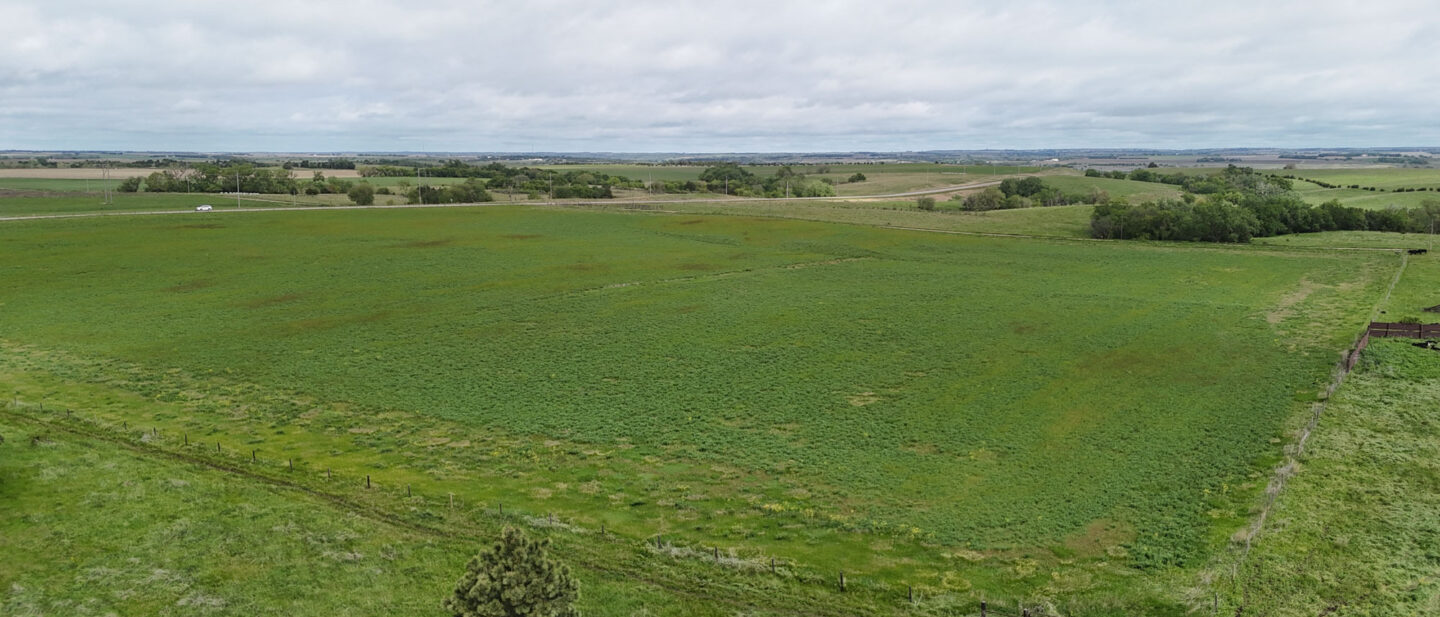 DJI 20250521110345 0499 D