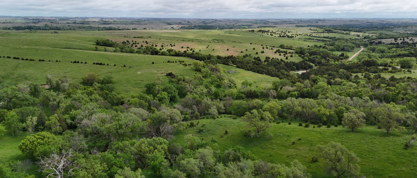 DJI 20250521110641 0505 D