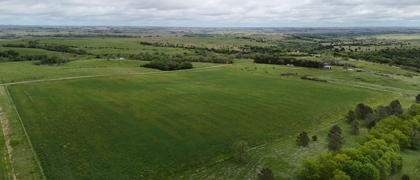 DJI 20250521112106 0524 D