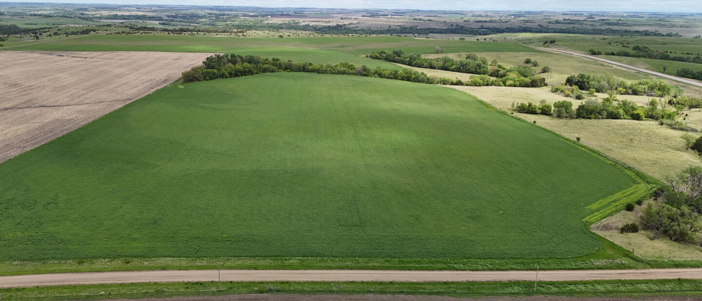 DJI 20250521112612 0531 D