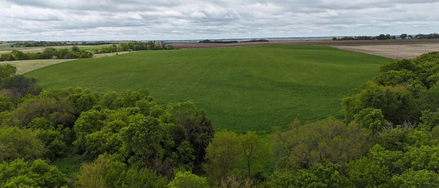 DJI 20250521112744 0533 D