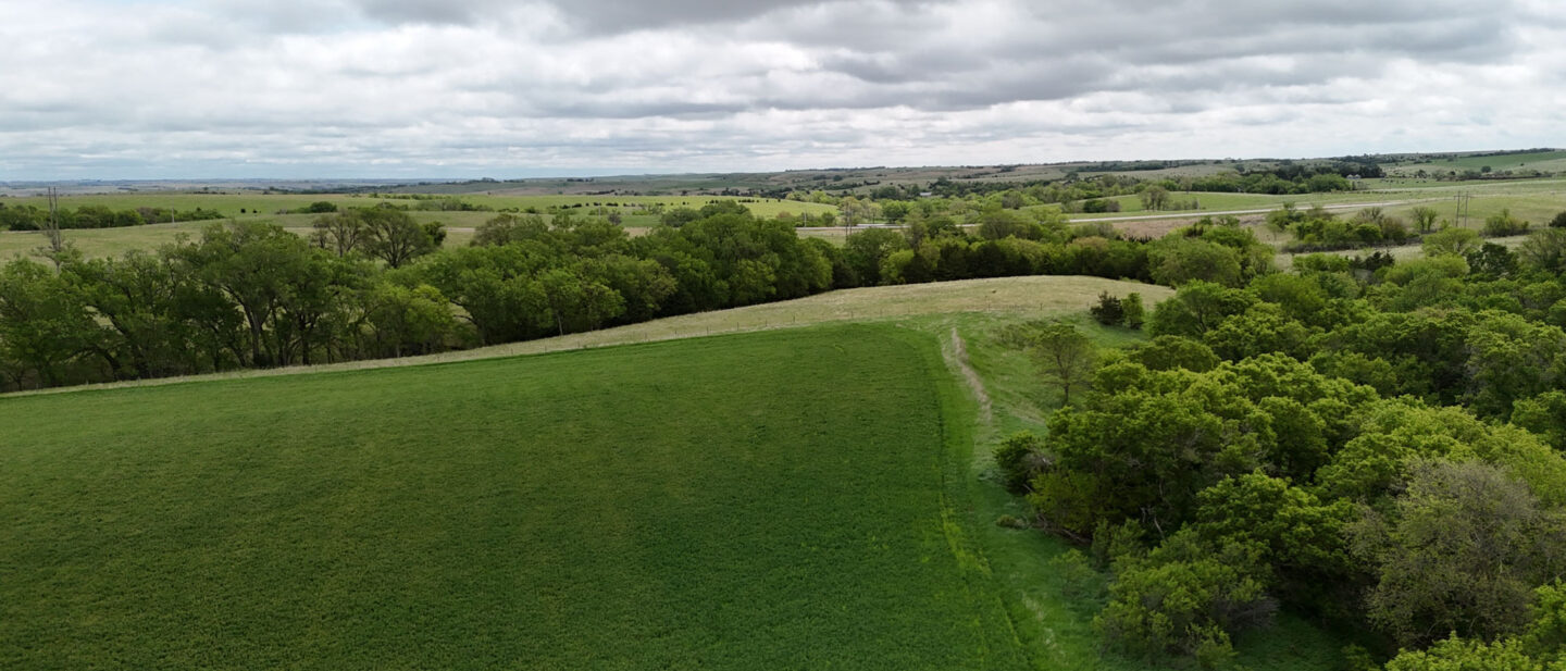 DJI 20250521112748 0534 D