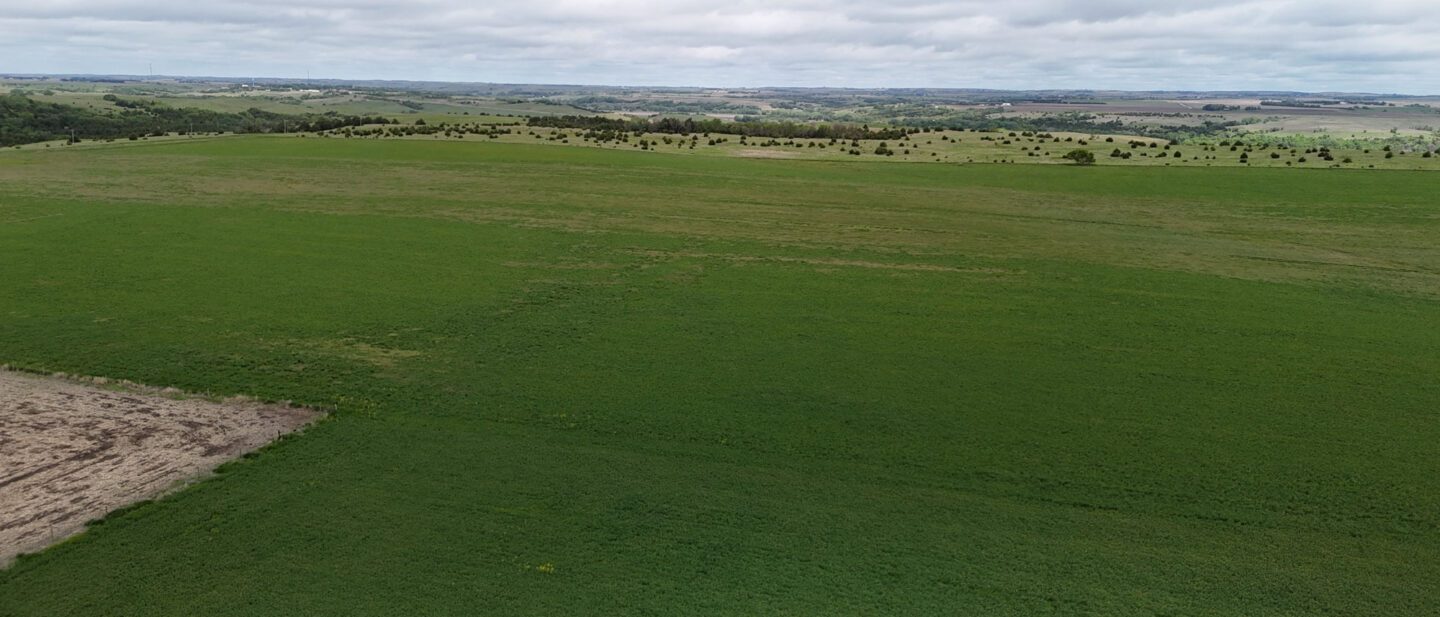 DJI 20250521112802 0535 D