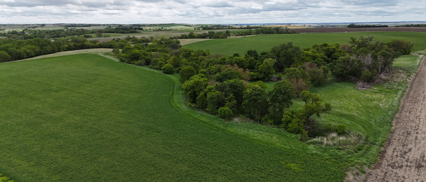 DJI 20250521112857 0538 D