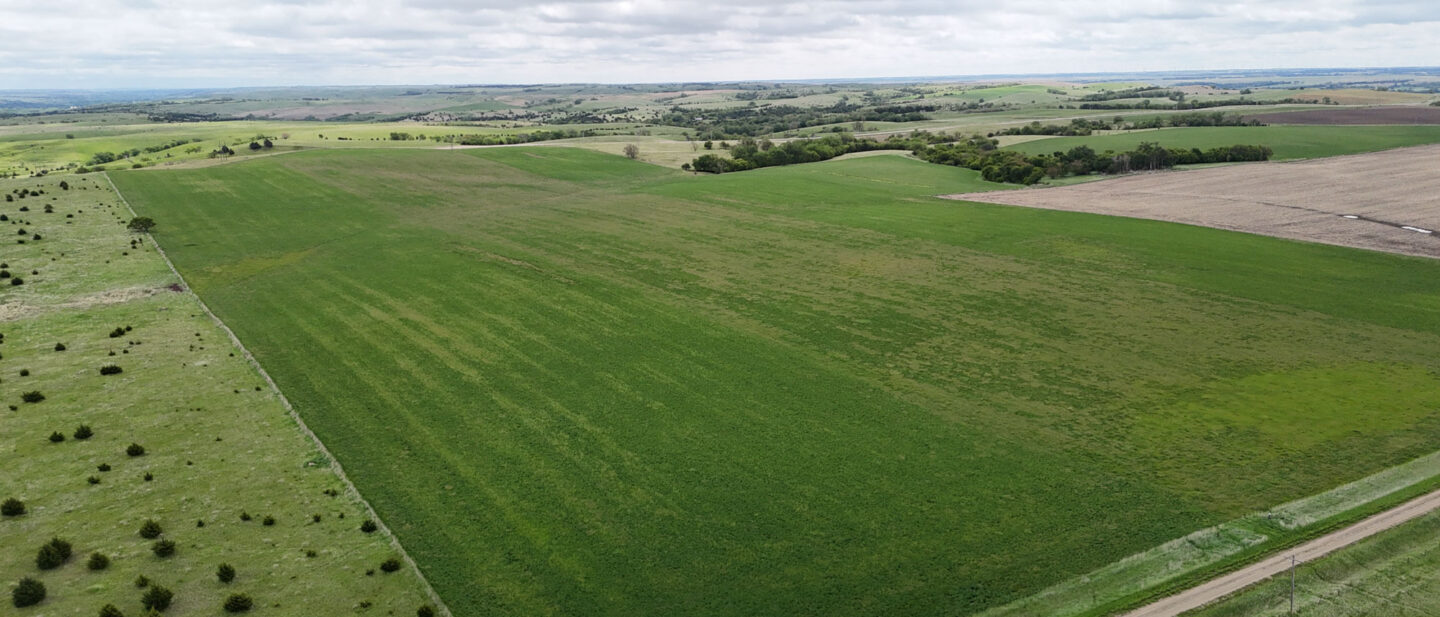 DJI 20250521113017 0539 D