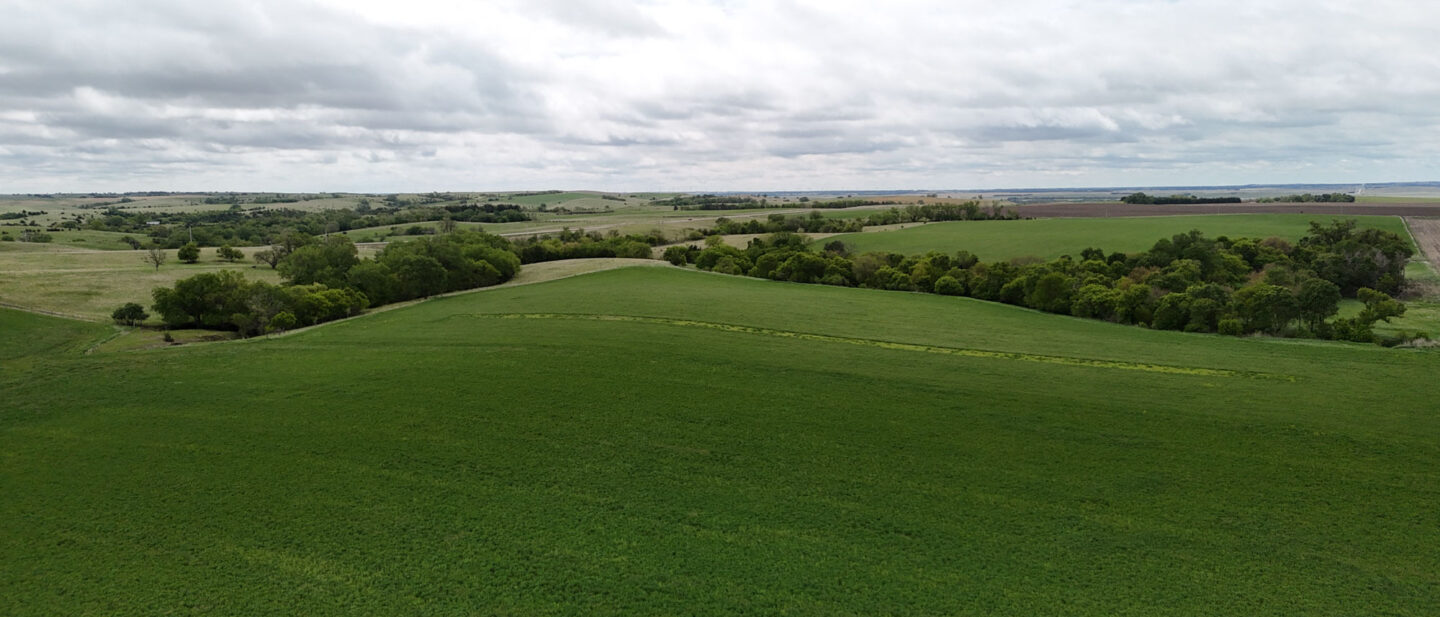 DJI 20250521113127 0542 D