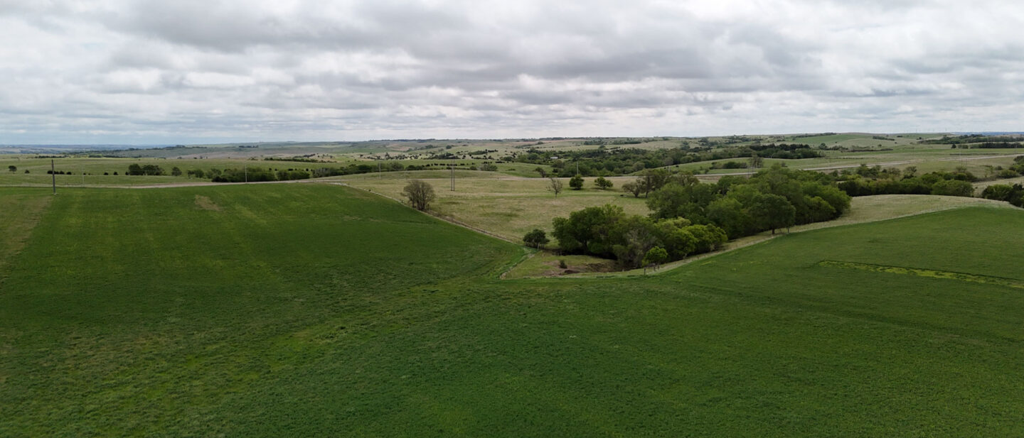 DJI 20250521113136 0543 D