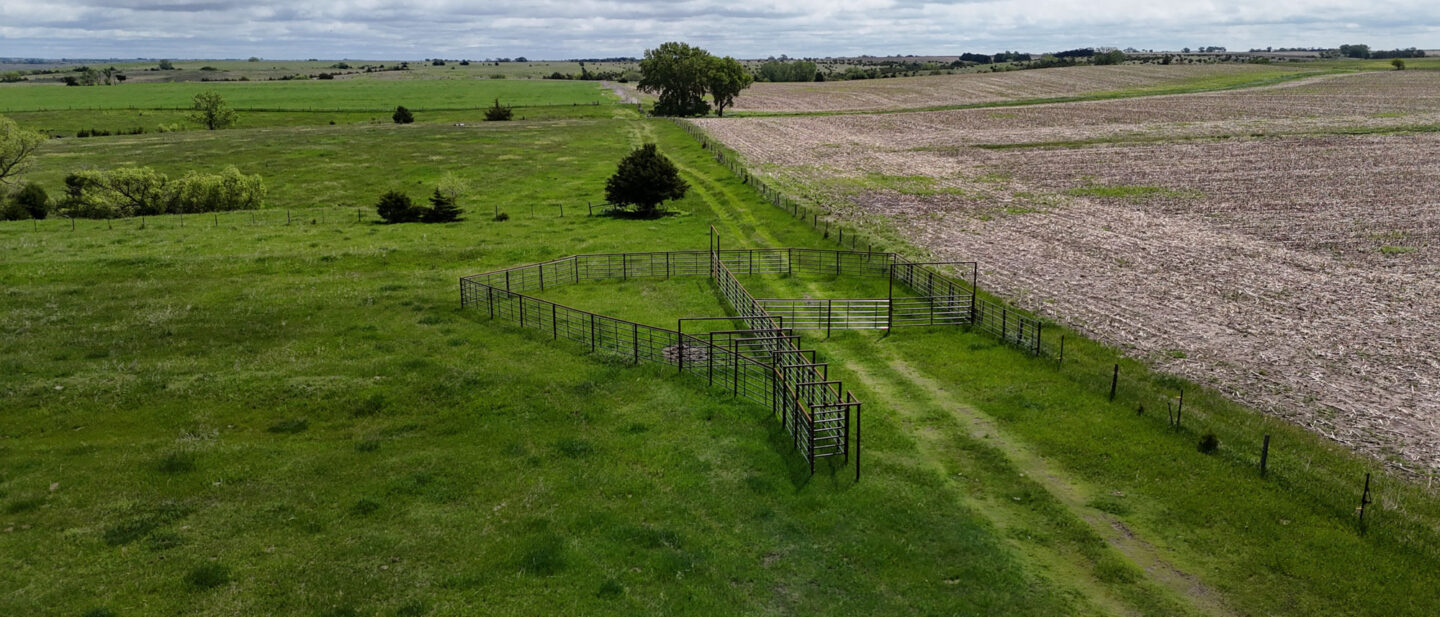 DJI 20250521114250 0552 D