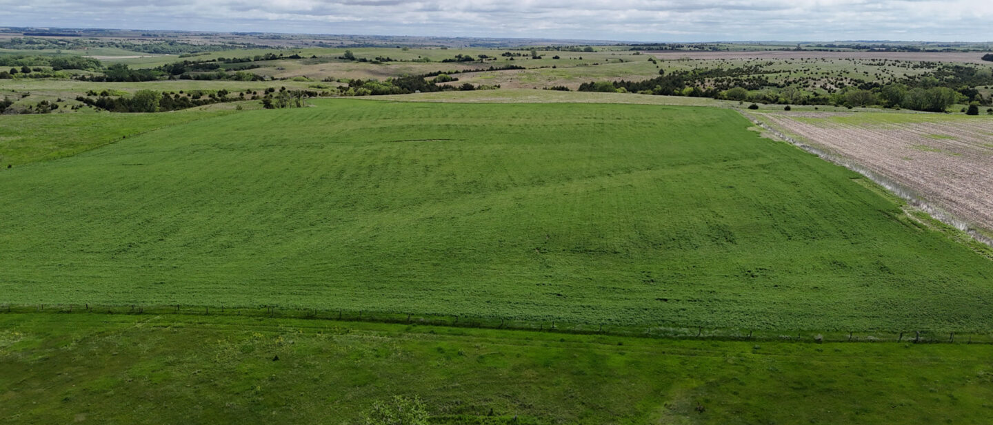 DJI 20250521114314 0553 D