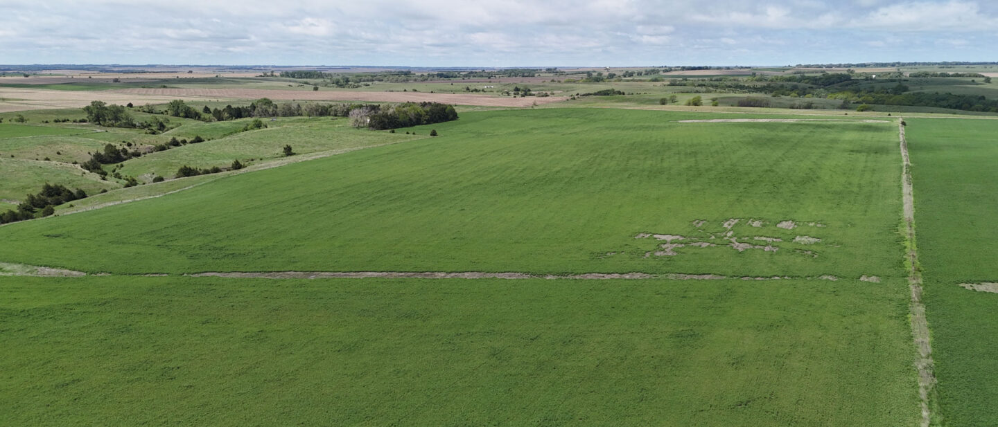 DJI 20250521114614 0561 D
