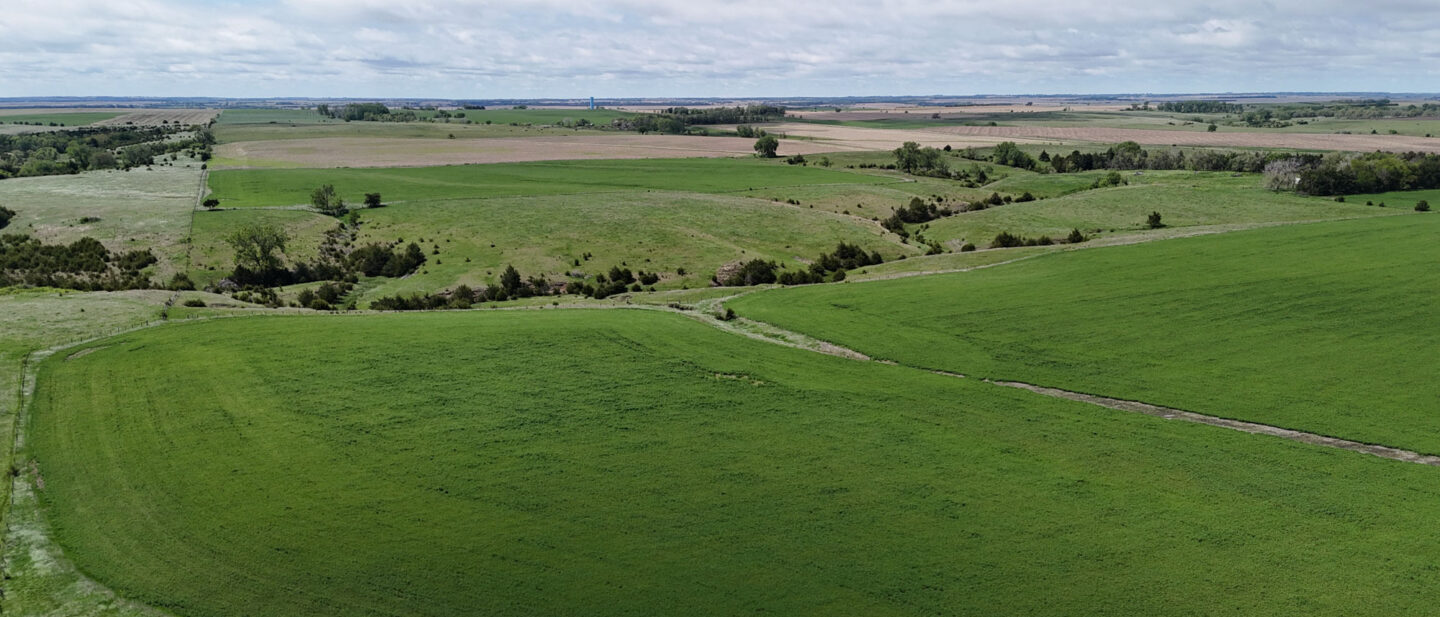 DJI 20250521114616 0562 D