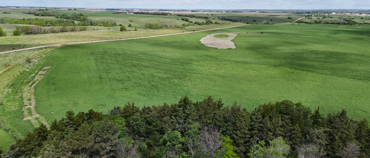 DJI 20250521114756 0569 D