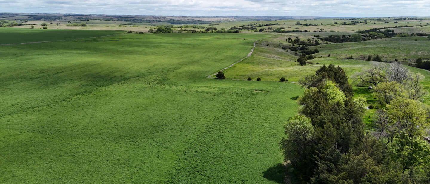 DJI 20250521114812 0570 D