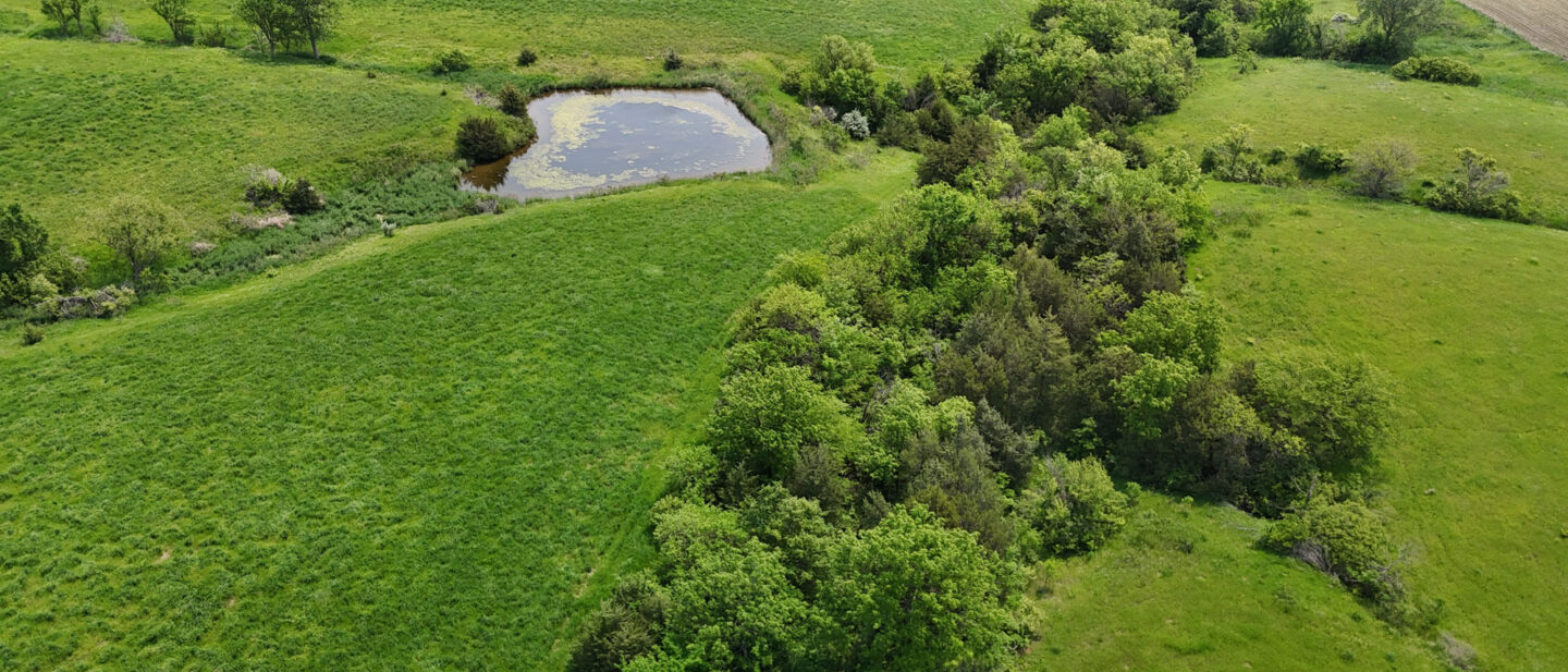 DJI 20250530114210 0770 D