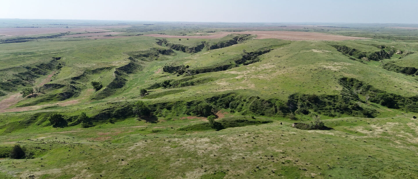 DJI 20250616101410 0582 D