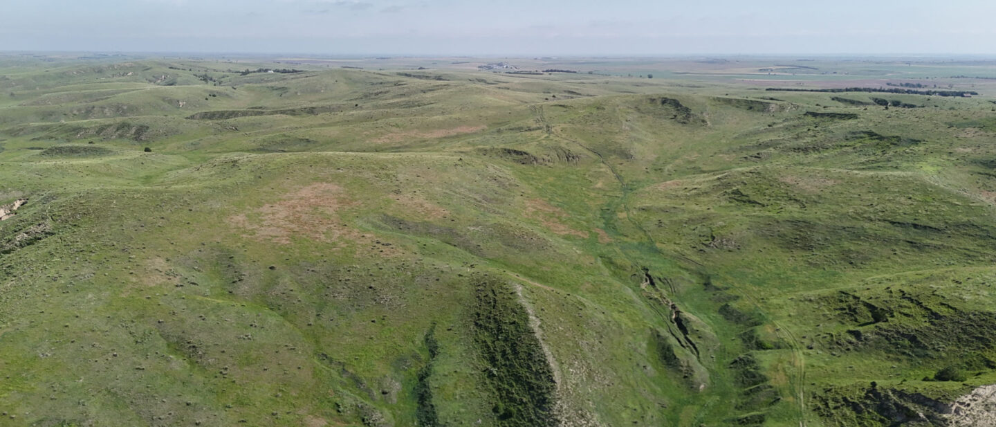 DJI 20250616101624 0588 D